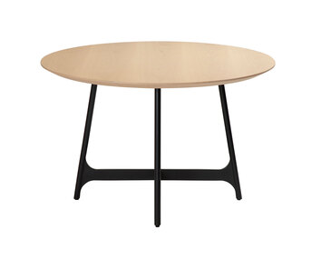 Ooid Matbord Runt Vitpigmenterad Ek