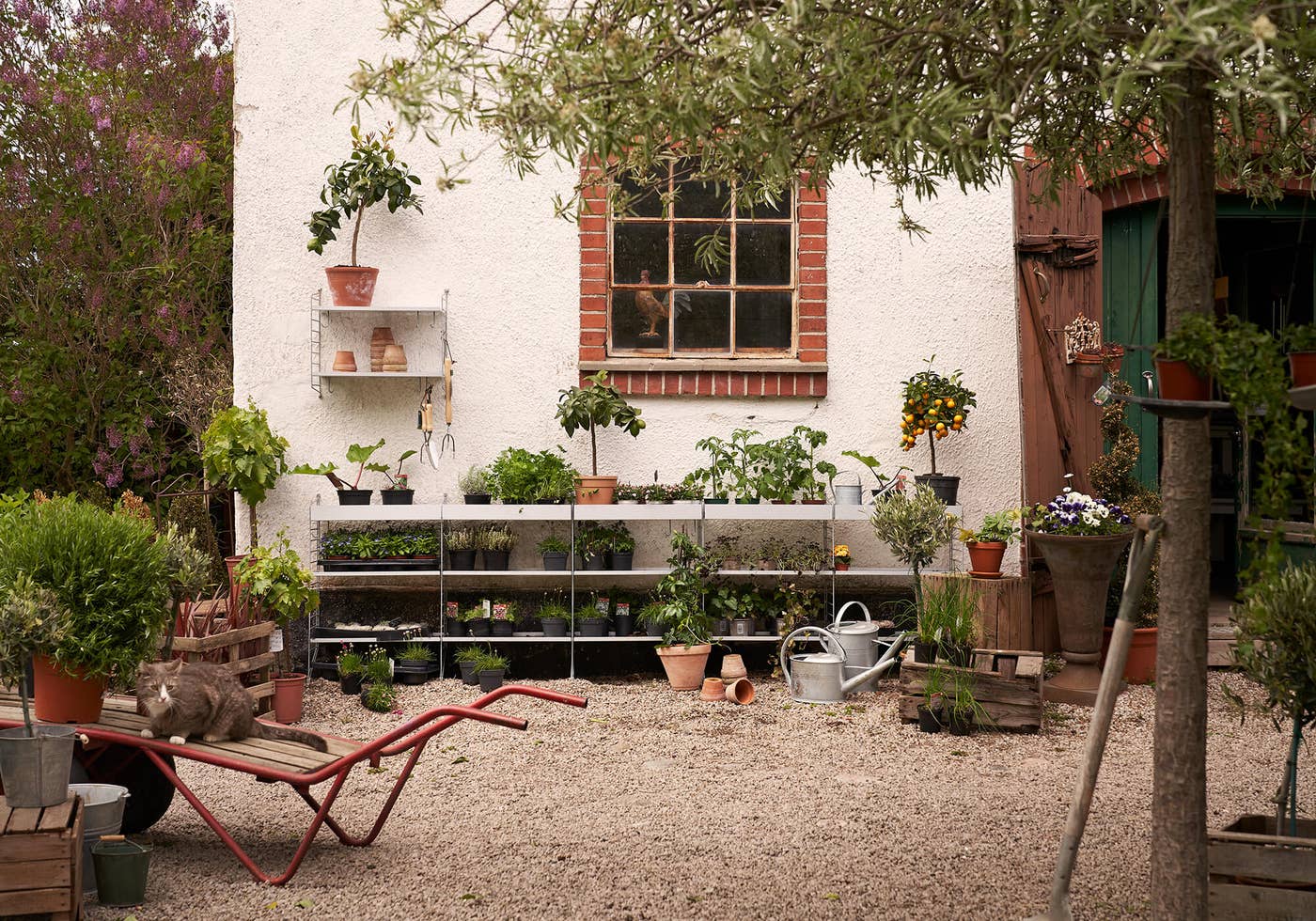 String-utomhus-inspiration-tibergs.jpg Trädgårdsmiljö med blommor på String hyllsystem