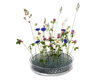 Äng-Mega-Blågrön-01