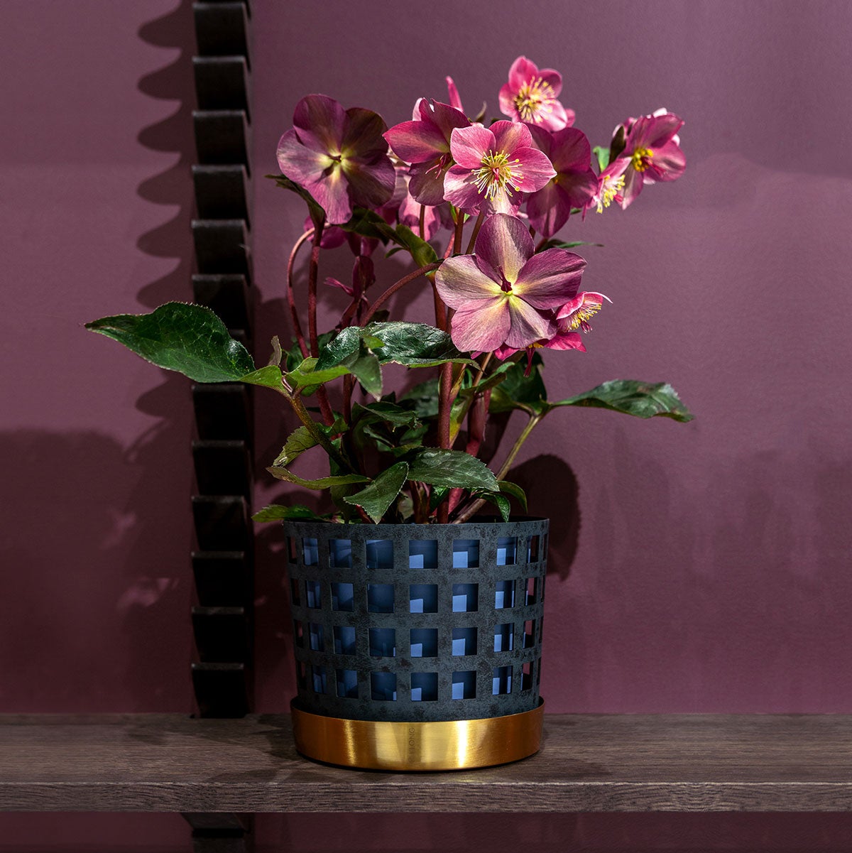 Trio-Square-Medium-Bla-Miljobild