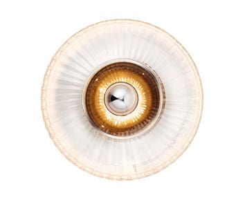 New Wave Optic vägglampa i Clear stolek XL