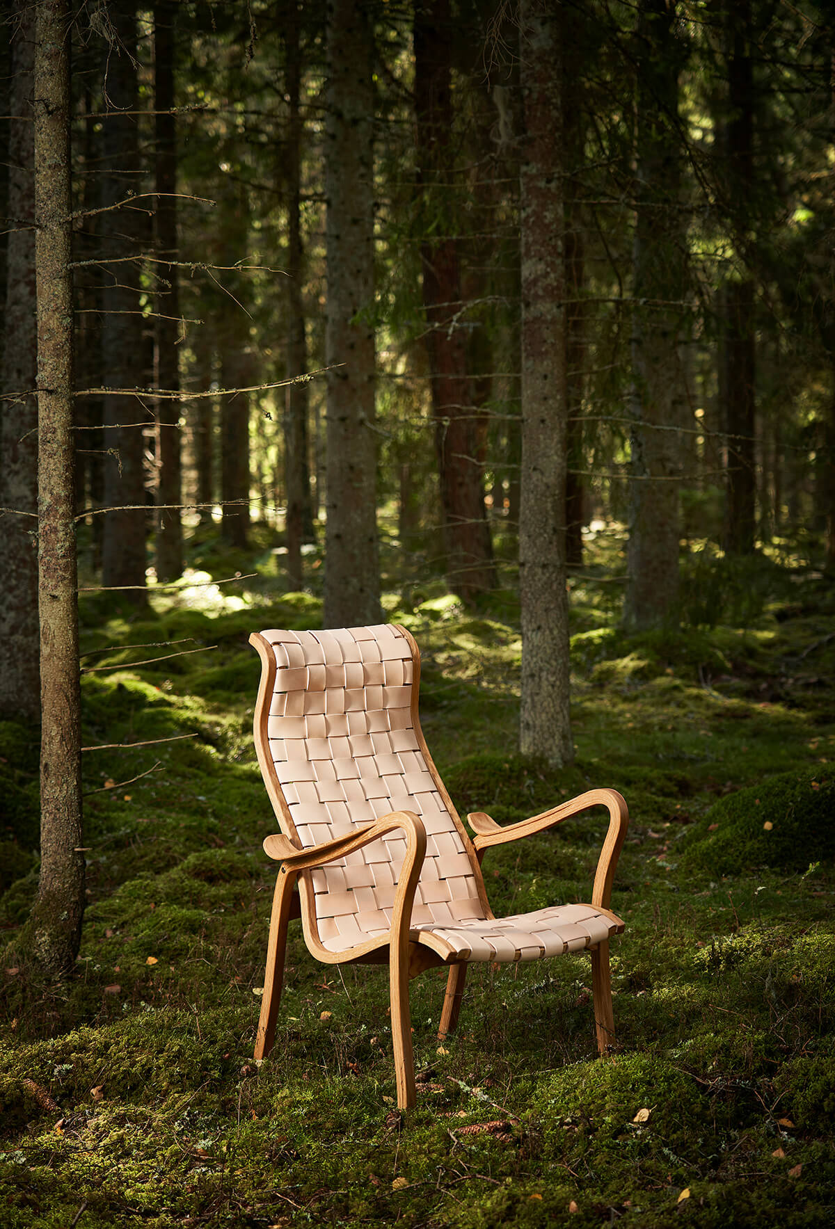 Torparen fåtölj i sadelgjord i en vacker grön skog