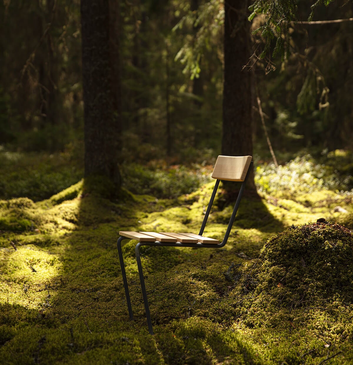 Stol-1-Grythyttan-furu-miljo-1