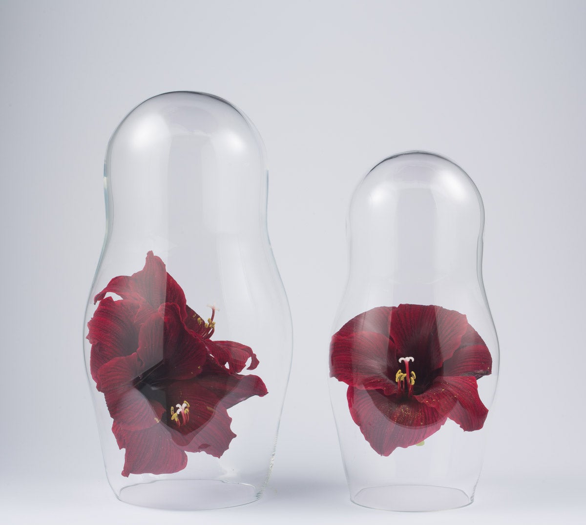 Baba Glaskupa med röda blommor inuti