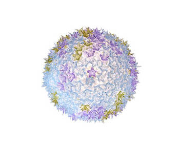 Bloom Plafond från Kartell i färgen Lavender