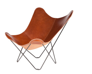 9568_Pampa_Mariposa_montana_black_coated_frame