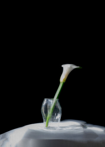 Blaehr Vas Liten Clear med en vit blomma