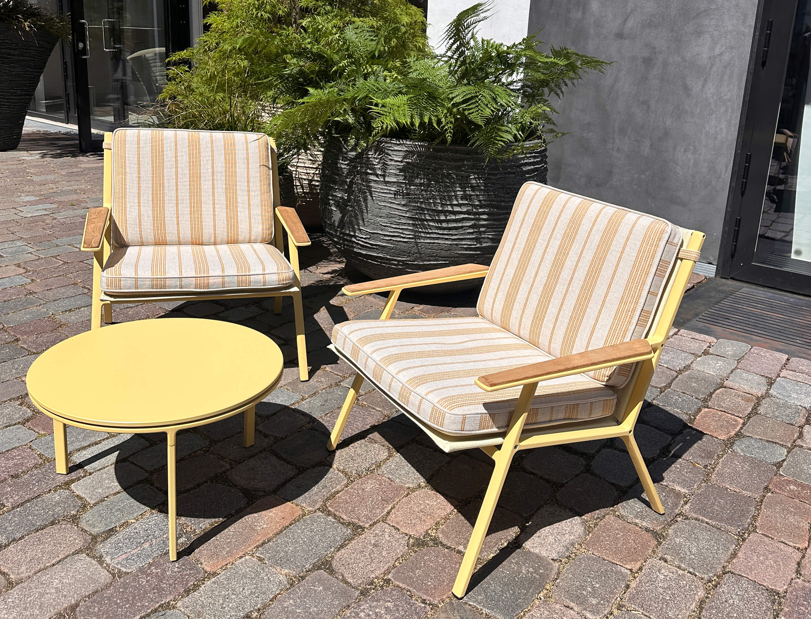 VIPP-yellow-trends-2026.jpg