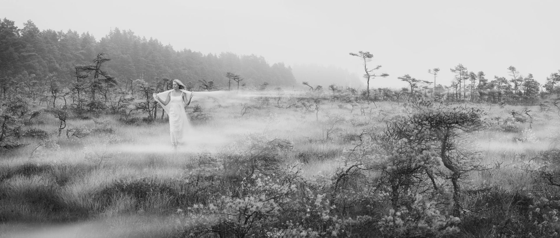 Varnamo-Brand-header-image-dark.jpg Varnamo of Sweden - Kuddar, Täcken och Sängkläder från Småland