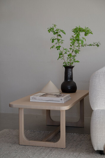 Driscoll Soffbord 103x50 i vitpigmenterad ek med en vas och dekorativa böcker