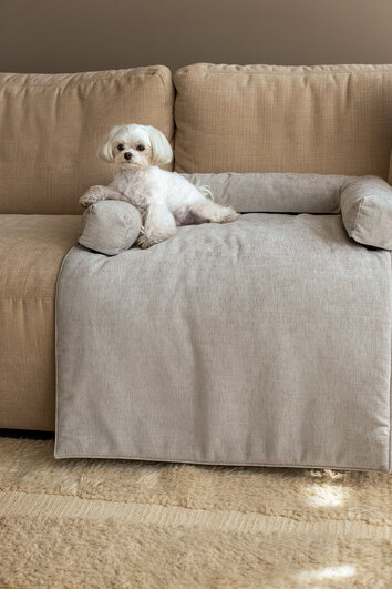 Collie Djursäng som ligger på en soffa med en vit hund som har sin tass på djursängen