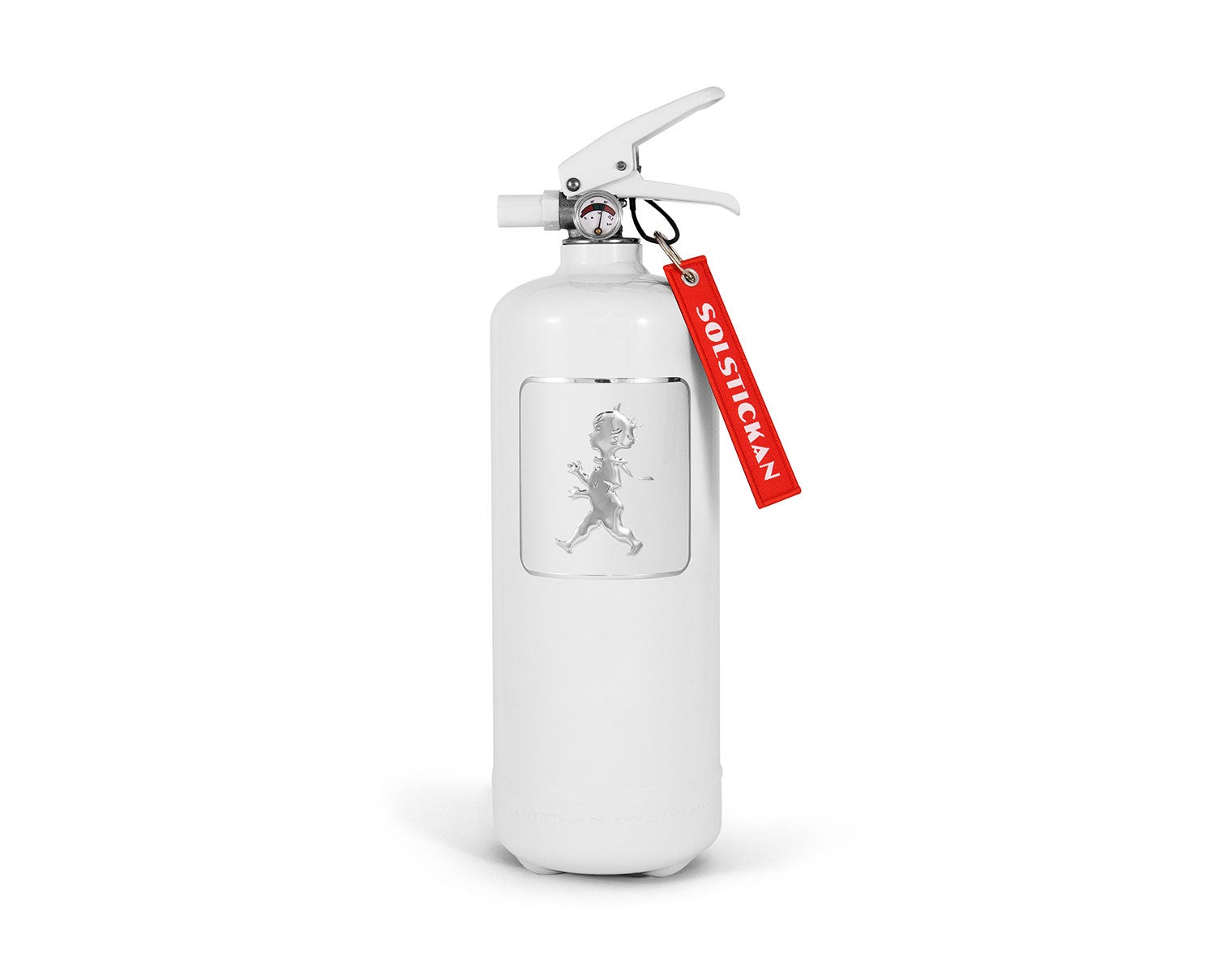 Brandsläckare Vit/Silver 2 kg