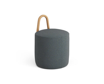 Step 750 | Oljad ek | Liten