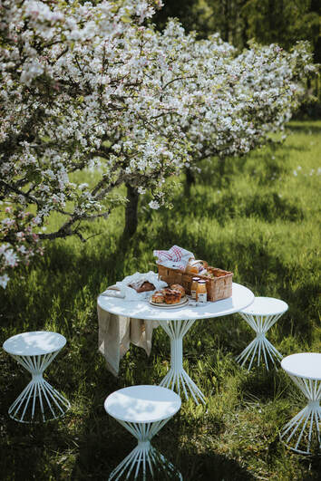  Roots Cafébord i en härlig trädgård med körsbärsblom