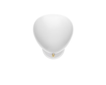 Cobra_WallLamp_US_White_HardWired_Front