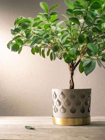 Trio-Drop-Medium-Beige-Miljö