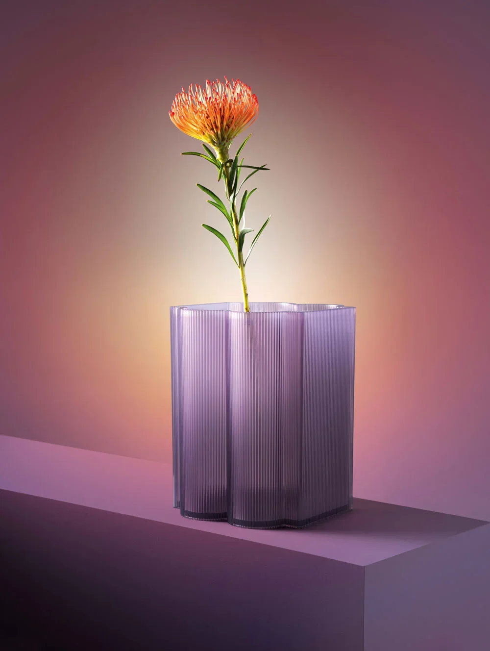 Kartell-Okra-Vase-H24-Violet-Lifestyle