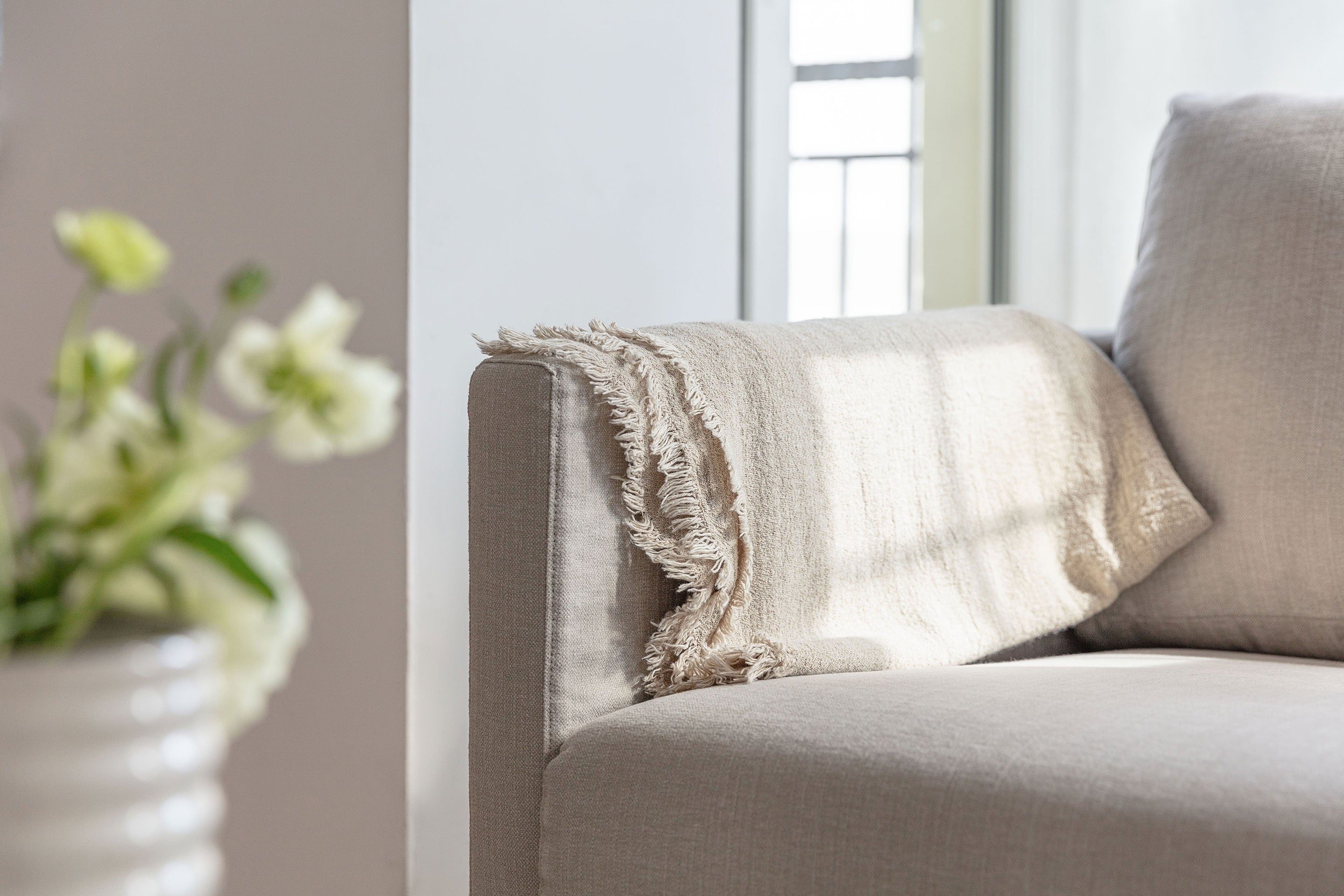 Guide-Remove-smell-from-sofa-Tibergs