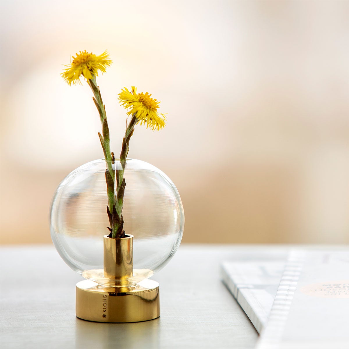 Orbis Vas med tussilago