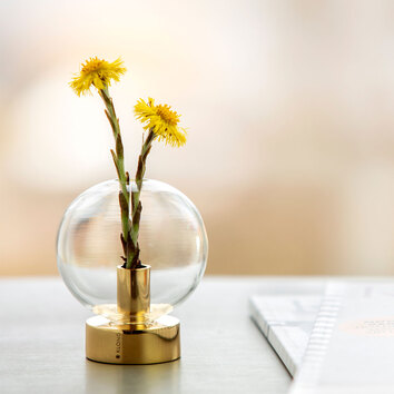 Orbis Vas med tussilago